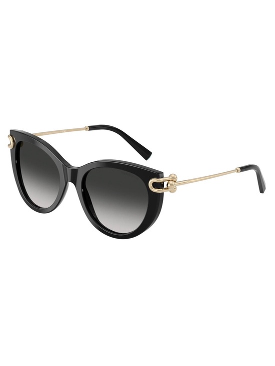 New TIFFANY & CO TF4253 80013C Women’s Black Cat-Eye Sunglasses with Accents